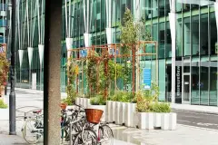 10 - Moor Lane Community Garden