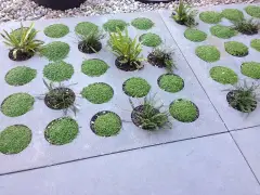 4 - 38 Northampton Road